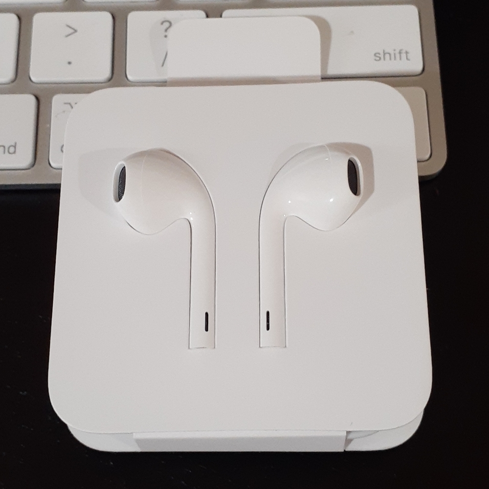 Apple earphones and lighting adapter brand new